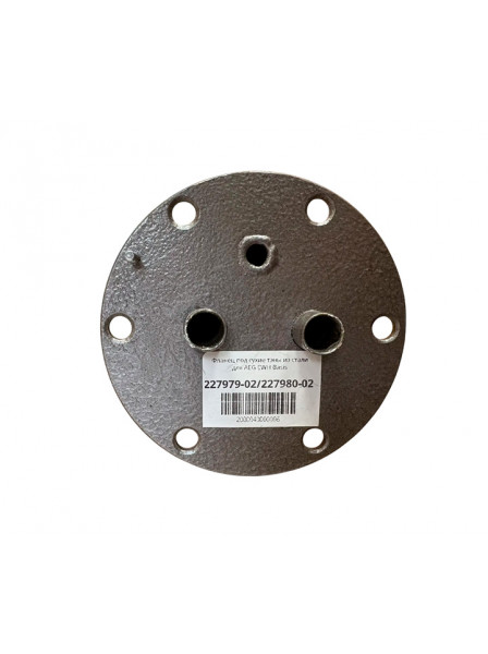 Фланец из стали 2000W с сухими ТЭНами в сборе EWH Basis, PSH-TM (c 2008 г.в.)