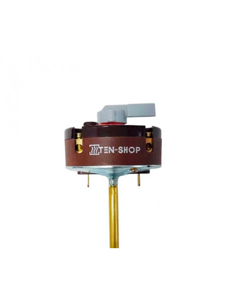 Термостат стержневой с термозащитой TBS 425 78/90/20А с флажком